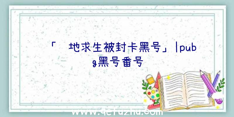 「绝地求生被封卡黑号」|pubg黑号番号